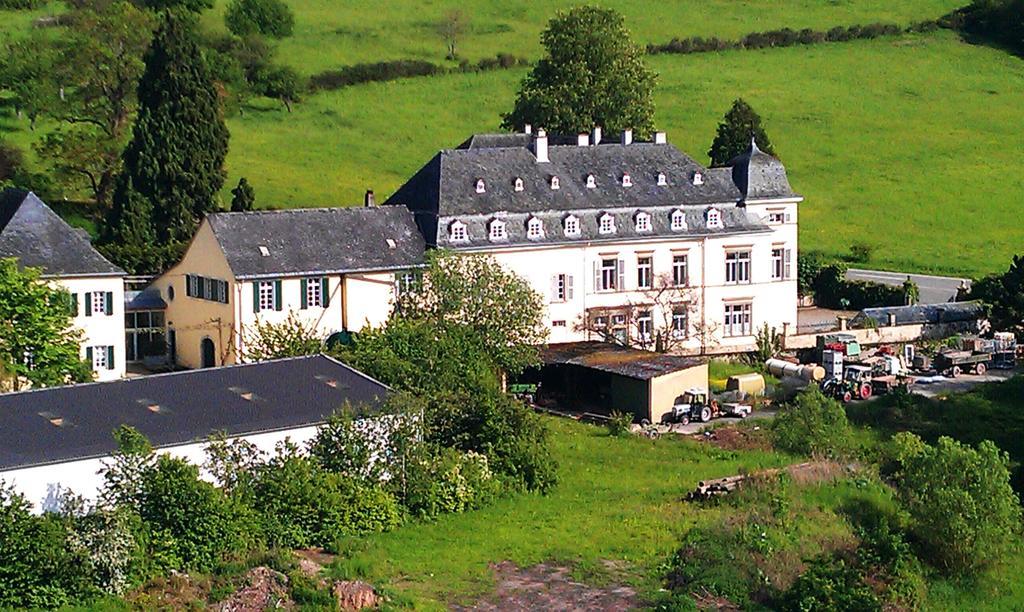 Haus Sonnenschein Apartment Wiltingen Luaran gambar